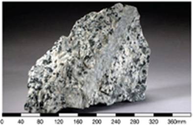 Megacrystic medium-grained granite (Lantau Granite) with a fine-grained aplite vein
